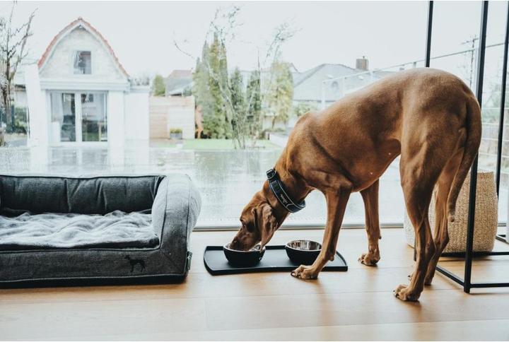 Produktbild Hunter Food bowl base, black S - (64503)