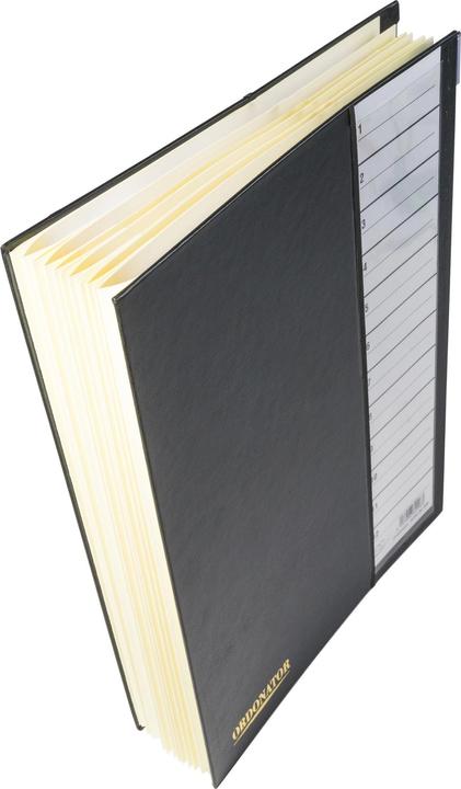 Immagine prodotto Exacompta Cartelle con dorso plissettato (A4, 1 x)