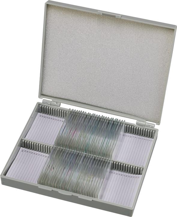 Bresser Experiment set