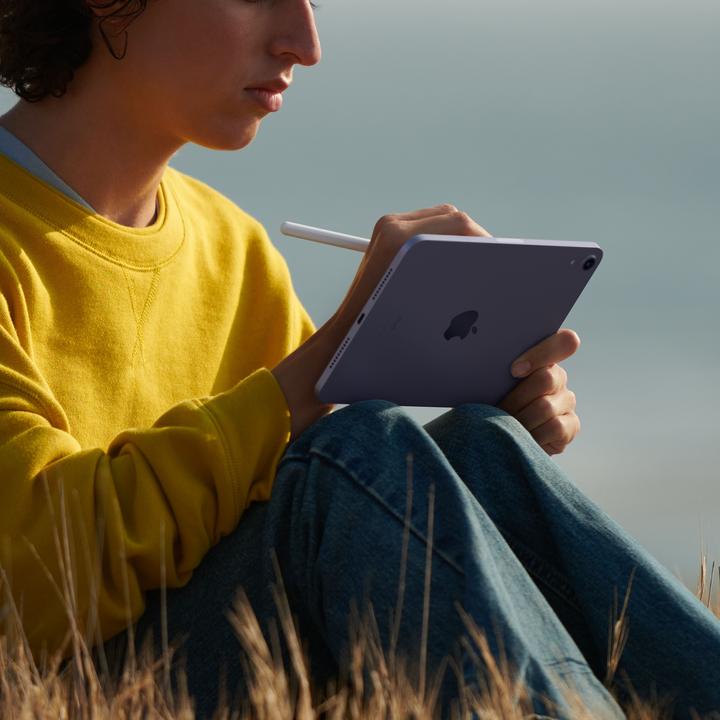 Image du produit Apple iPad mini 2021 (6.Gen) (WLAN uniquement, 8.30", 256 Go, Space grey)