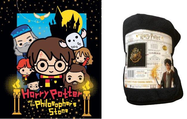 Produktbild Warner Bros Harry-Potter-Decke aus Polarfleece (120 x 150 cm)