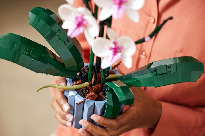 Productafbeelding LEGO Orchidee (10311, LEGO Botanisch)