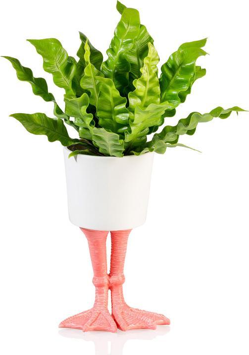 Blumentopf
