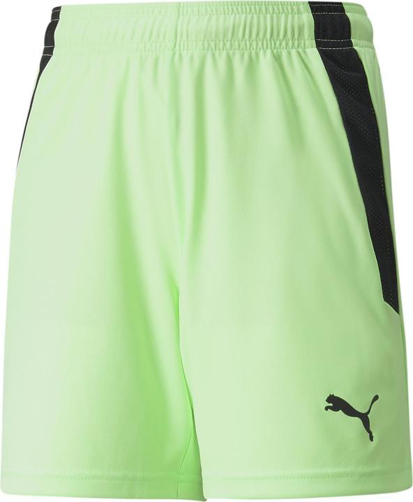 Actual product image Puma teamLIGA Shorts Jr-704931 (128)