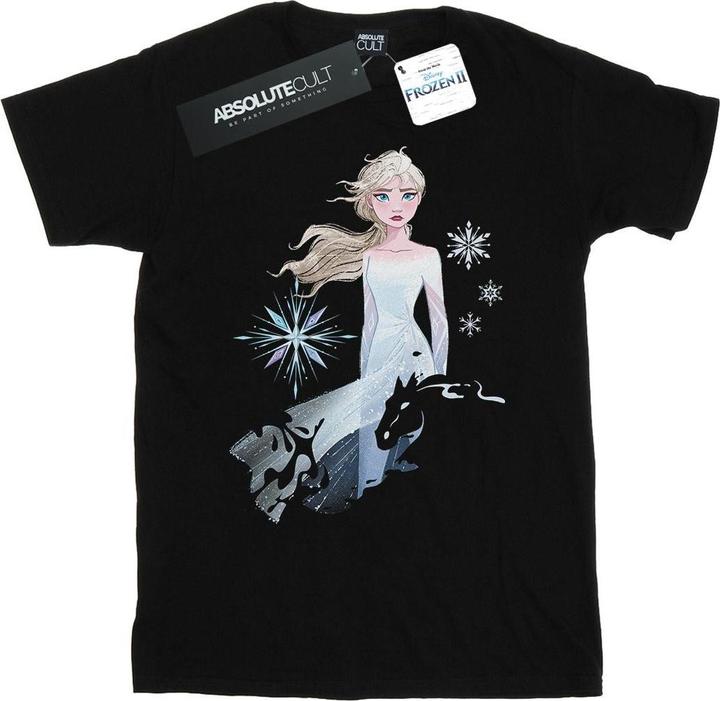 Disney Frozen 2 Elsa Nokk Silhouette TShirt (3XL)