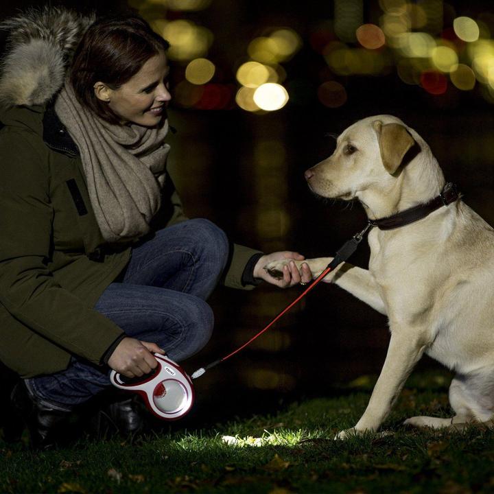Actual product image Flexi LED Lighting System (One size, Dog, Walks)