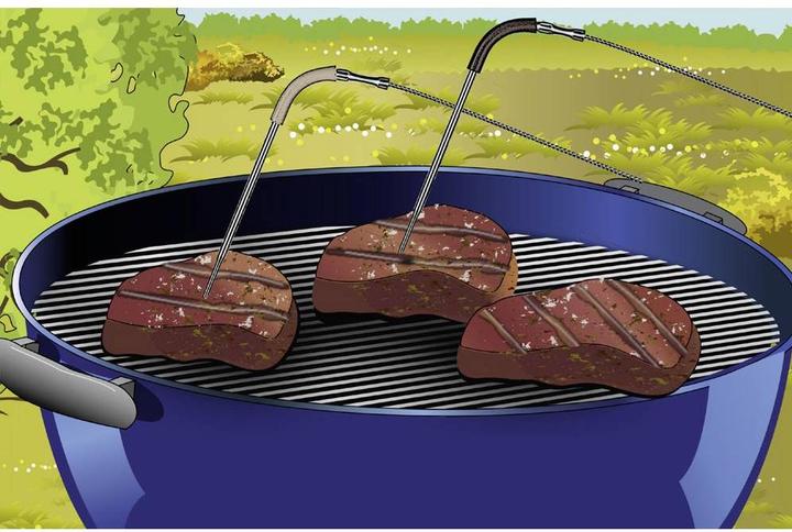 Actual product image Laserliner Meat thermometer ThermoControl Duo