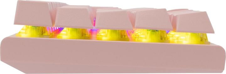 Image du produit Shark GK-002421 Wakizashi rose US Blue Switches (US, Filaire)