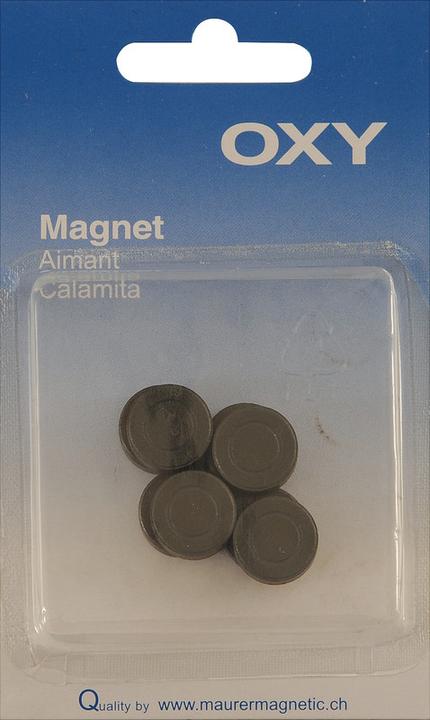 Produktbild Oxy Magnete (8 x)