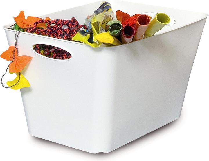 Image du produit Rotho Livingbox (39.5 x 31 x 52.5 cm, 44 l)