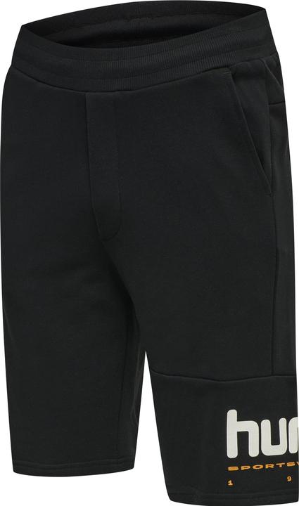 Actual product image hummel Lgc Manfred Shorts (S)