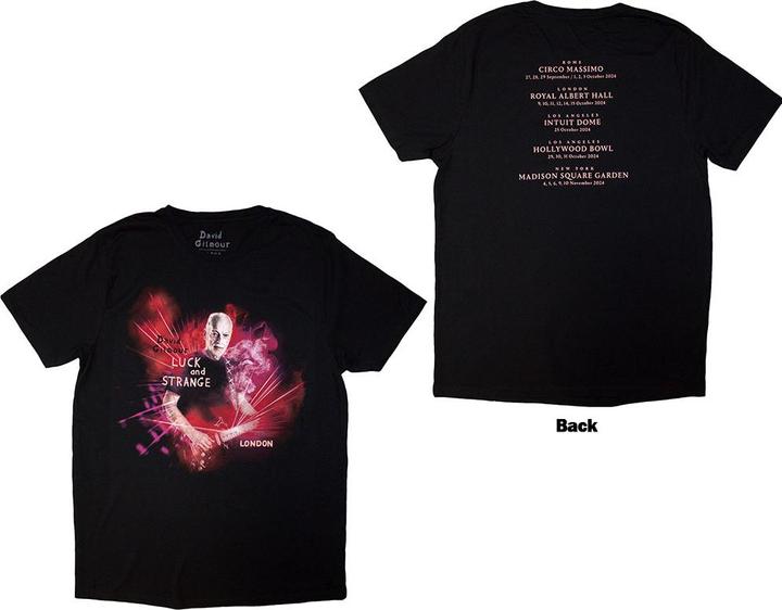 David Gilmour Luck & Strange London (M)
