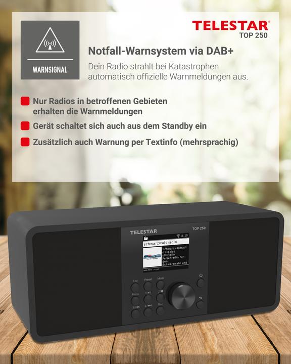 Immagine prodotto Telestar TOP 250 DAB+ Internetradio schwarz (Web radio, DAB, VHF, WiFi, Bluetooth)