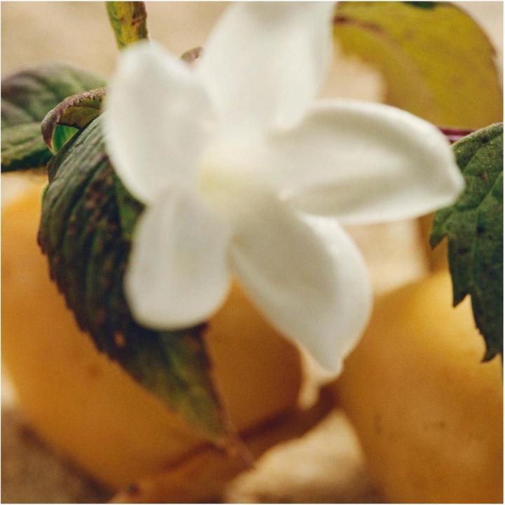 Actual product image Chloé Naturelle Intense Eau de Parfum (Eau de parfum, 30 ml)