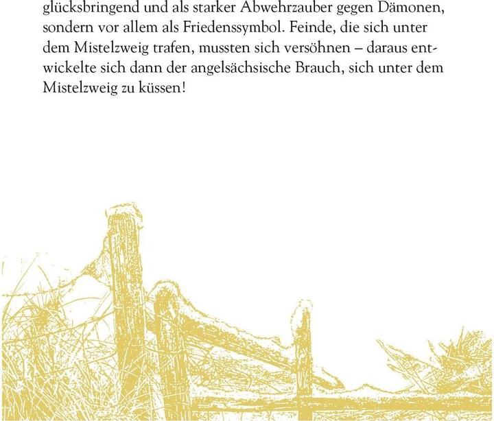 Produktbild Magie und Mythos der Winter-Weihnacht