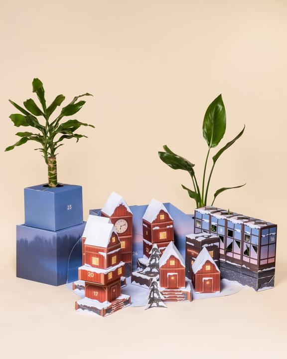 Image du produit feey Calendrier de l'Avent des plantes (60 cm)