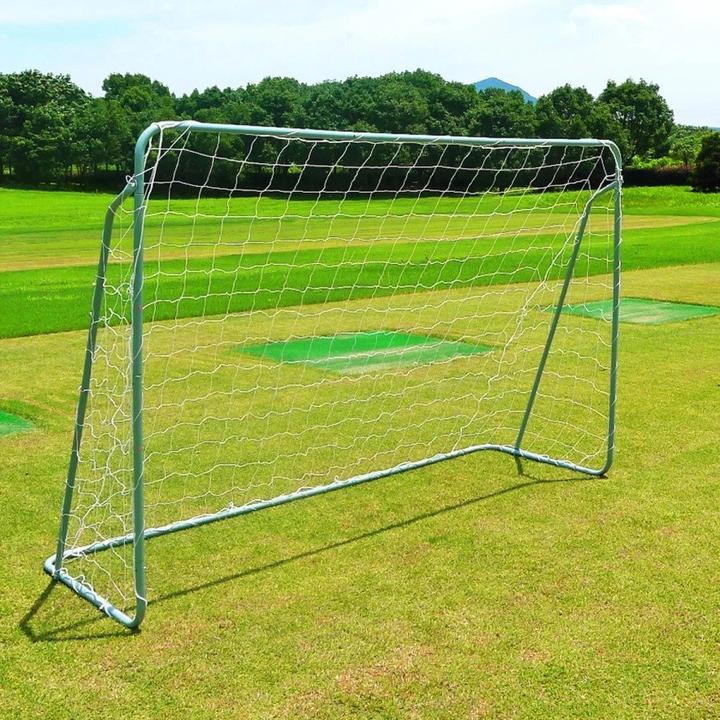 Actual product image Nils BR240 GATE WITH GRID STEEL FRAME 243 cm