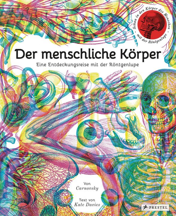 Produktbild Der menschliche Körper (Deutsch, Kate Davies, 2017)