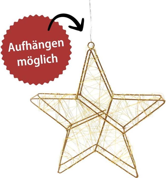 Produktbild Hermex LED-Weihnachtsstern Metallstern LED-Stern Drahtstern Leuchtstern
