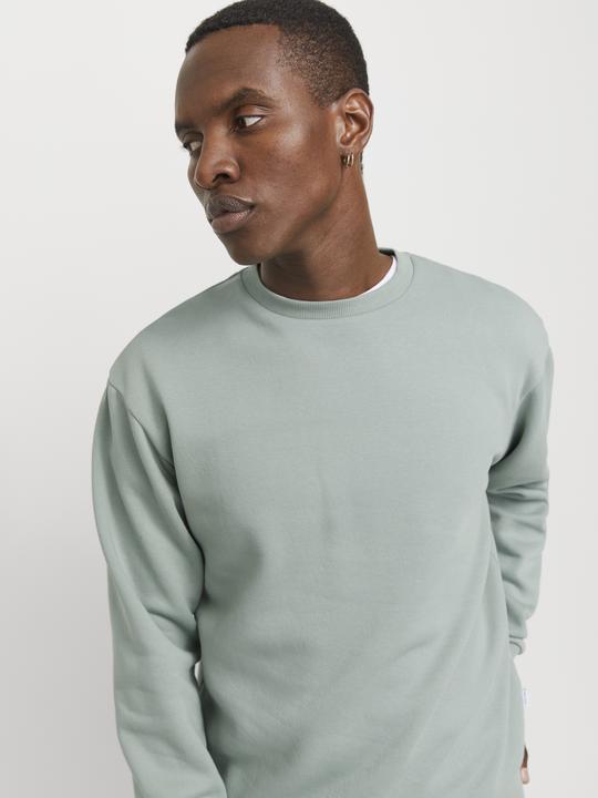 Produktbild Jack & Jones Jjebradley Sweat Crew Noos (L)