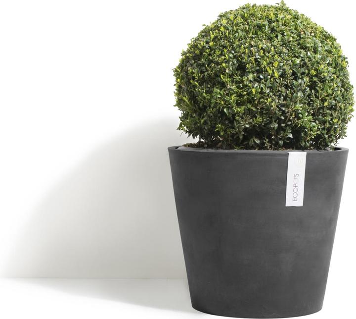 Actual product image Ecopots Amsterdam Wheels (80 cm)