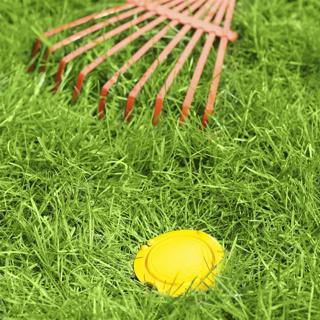 Actual product image Brabantia Ground anchor