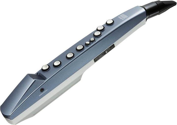 Roland AE-01 Digital Blasinstrument (Flöte)