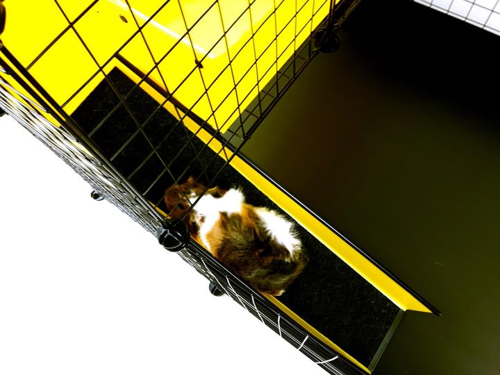 Immagine prodotto C&C Gabbia modulare 3x2 + soppalco 2x1 + rampa nera