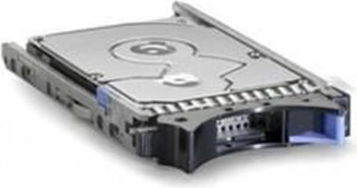 IBM 49Y6173 Harddisk (0.30 TB, 2.5")