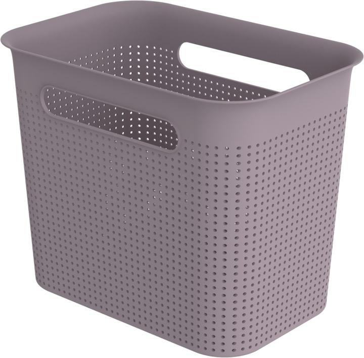 Rotho BRISEN Box schmal