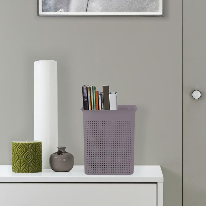 Actual product image Rotho BRISEN Box narrow