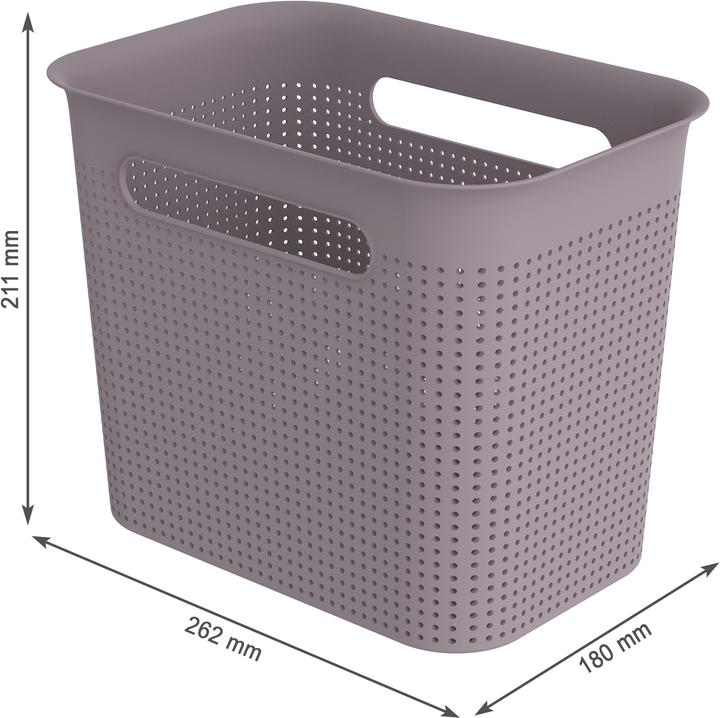 Actual product image Rotho BRISEN Box narrow