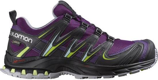 Produktbild Salomon Xa Pro 3D GTX W (39 1/3)
