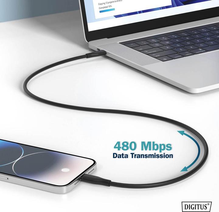 Image du produit Digitus USB C – USB C (0.50 m, USB 2.0)