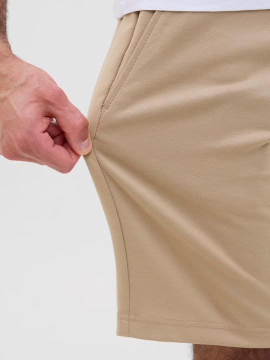 Actual product image Jack & Jones 2er-pack Regular Fit Chino Shorts Chino Shorts (XXL)