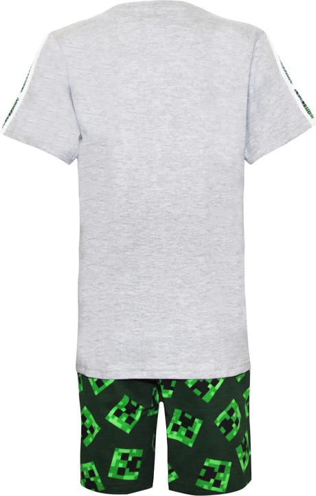 Actual product image Minecraft Pyjamas (140)