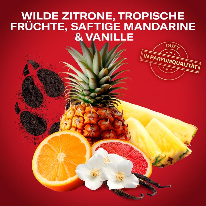 Produktbild Old Spice Wolfthorn (Stick)