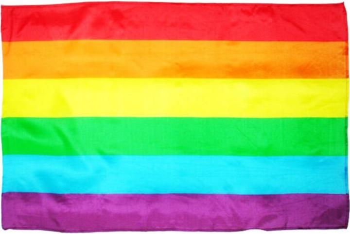 - Lgbt Big Flag