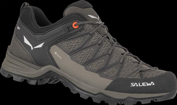 Produktbild Salewa MTN Trainer Lite GTX (40.5)