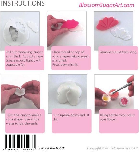 Actual product image Blossom Sugar Art Frangipani embossing set