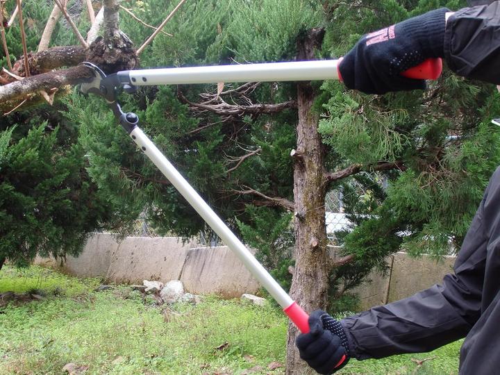 Produktbild ARS Baumschere LPB-30L