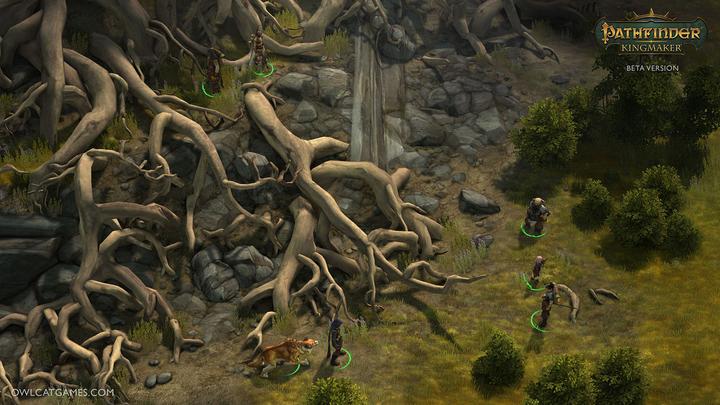 Actual product image Deep Silver Pathfinder: Kingmaker - Definitive Edition (Xbox One X, Xbox Series X, IT)