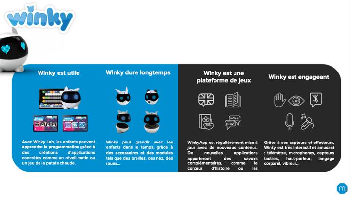 Image du produit Mainbot Robot Winky (Français)