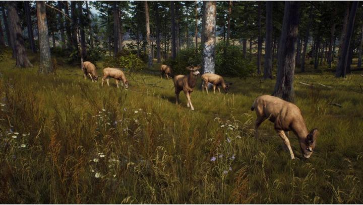 Immagine prodotto THQ Via del cacciatore (PS5, IT, FR, EN)