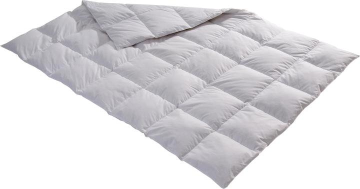 Actual product image Billerbeck Edition Thea (800 g, 200 x 210 cm)