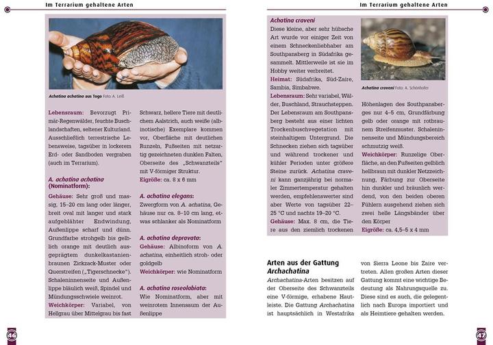 Produktbild Achatschnecken (Deutsch, Andreas Leiss, 2021)