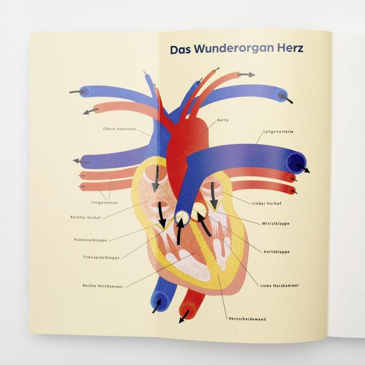 Produktbild Herzensdinge (Deutsch, Umes Arunagirinathan, Doris Mendlewitsch, 2024)