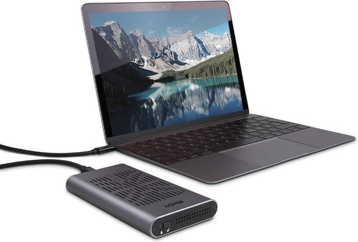 Actual product image Lindy Dual (M.2)