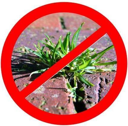 Produktbild Noor Unkrautblocker 105 gr/m² 0,9 x 10 m I Die Gartenfolie für das Hochbeet und das Gewächshaus I Un