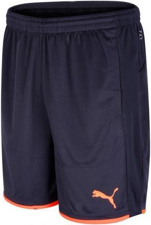 Puma It evo TRG Shorts (S)